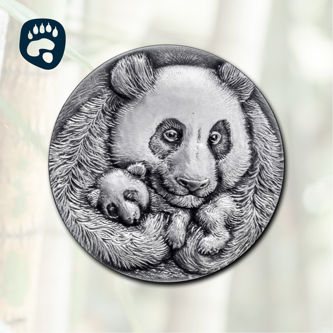 Coin Animal Tracks - Giant Panda