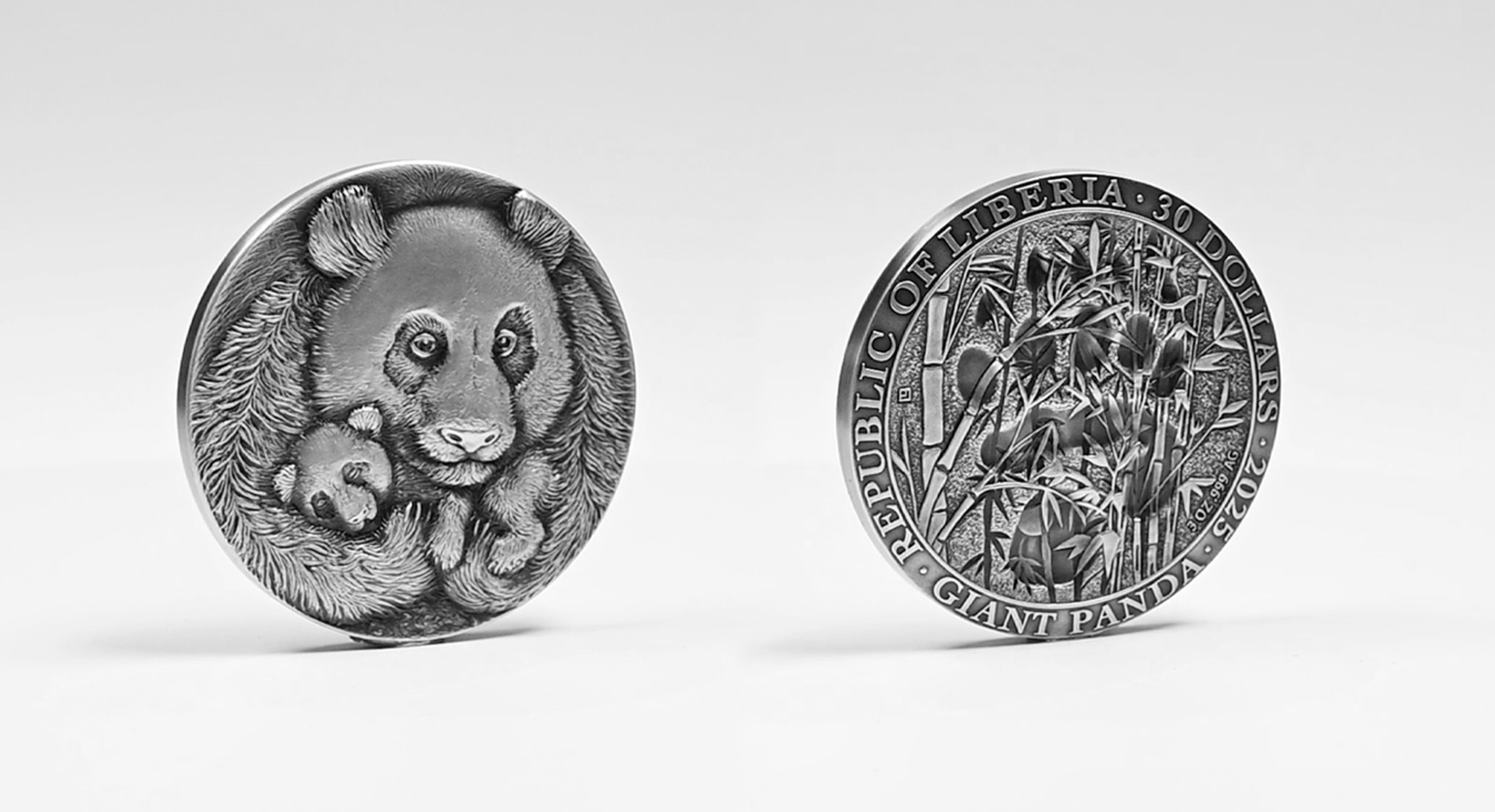 Coin Animal Tracks - Giant Panda